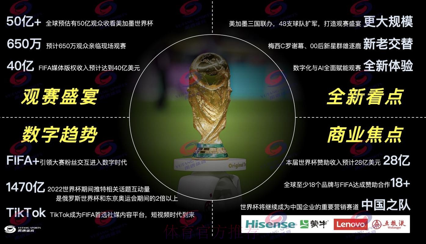 世界杯直播全方位指南与深度解读